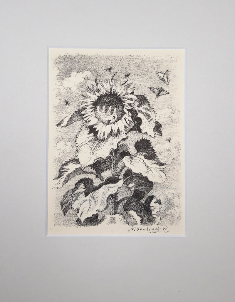 Švabinský Max – Slunečnice III, původní litografie, 1947