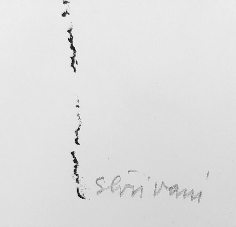 Karlíková Olga – Skřivani, původní litografie, číslováno 21/100, 1998
