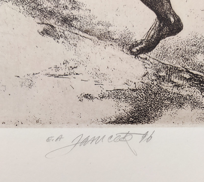 Janíček James – Sedm ran egyptských, barevný lept, značeno E.A./autorský tisk, 1996