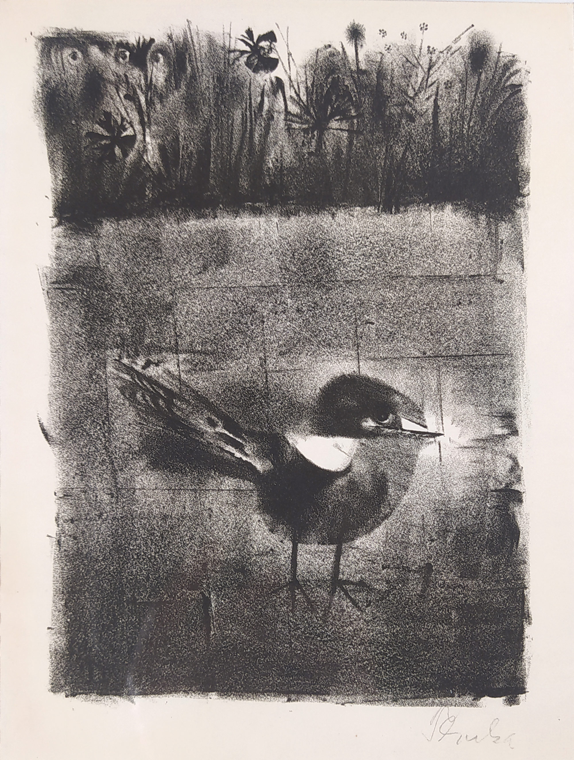 Trnka Jiří – Ptáček, původní signovaná litografie, 1964