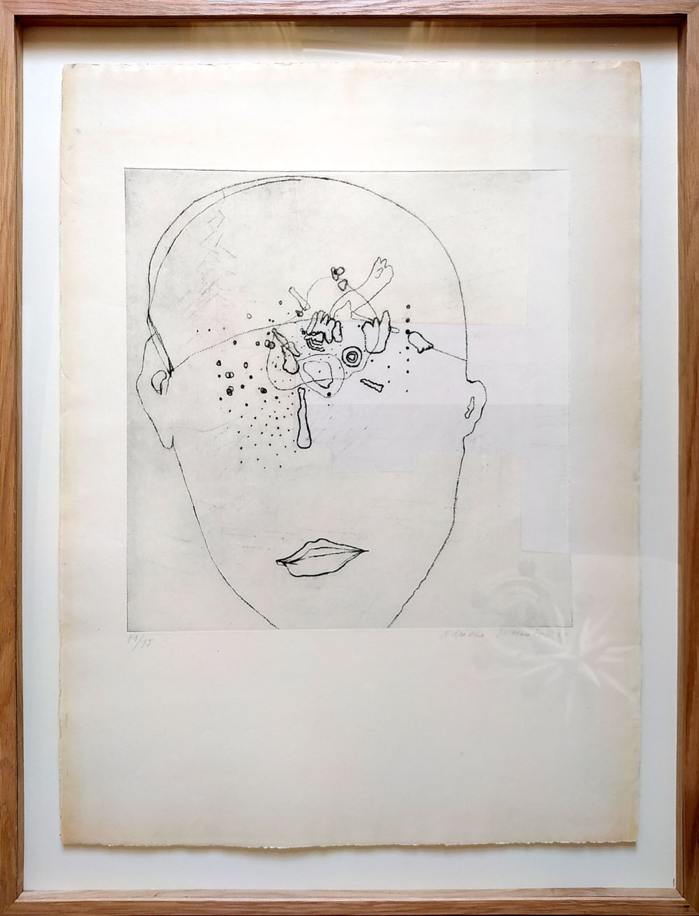 Šimotová Adriena – Česno, suchá jehla, 1969