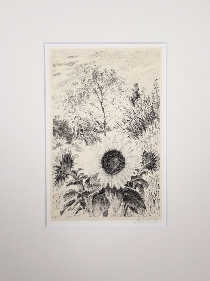 Švabinský Max – Slunečnice, původní litografie s podtiskem