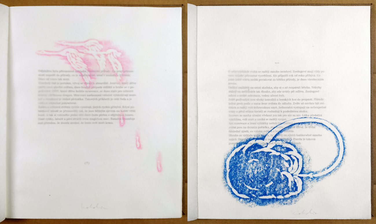 Kokolia Vladimír, Kroutvor Josef – Nový bestiář a jiné historky, 12 frotáží, 1998