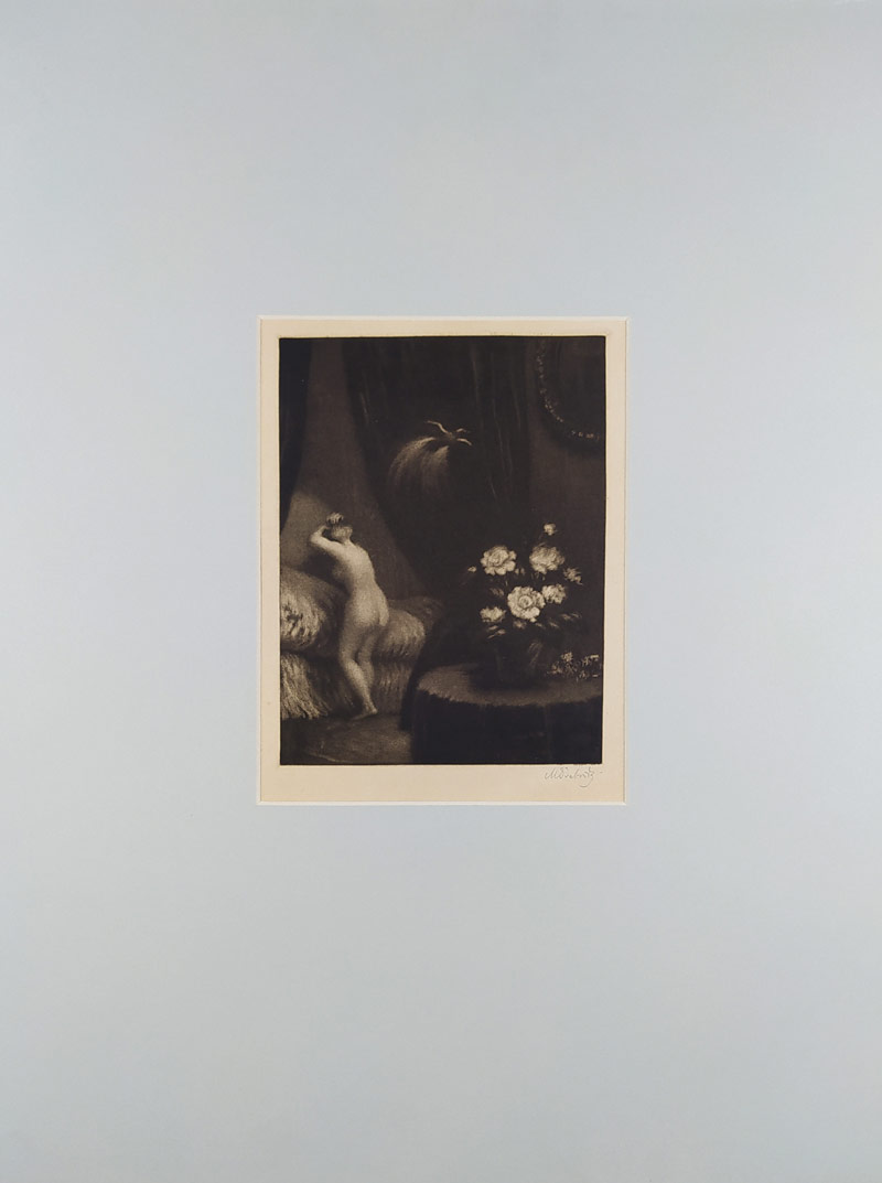 Švabinský Max – Bílá kamelie. střední, mezzotinta, 1910