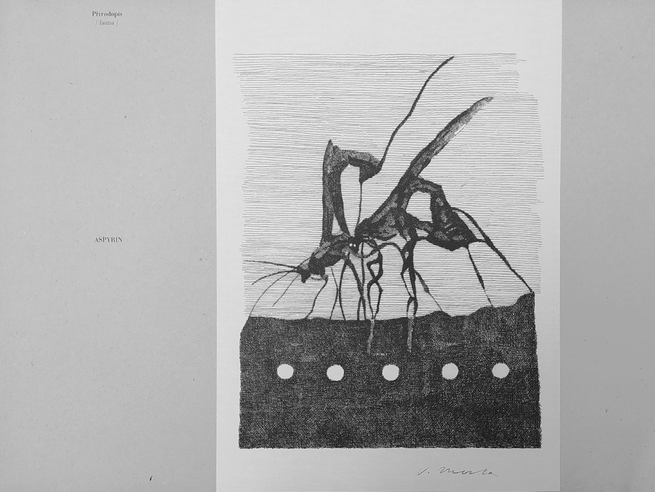 Přírodopis / Fauna / – Vladimír Merta, pět reprodukcí kreseb, album, 1997