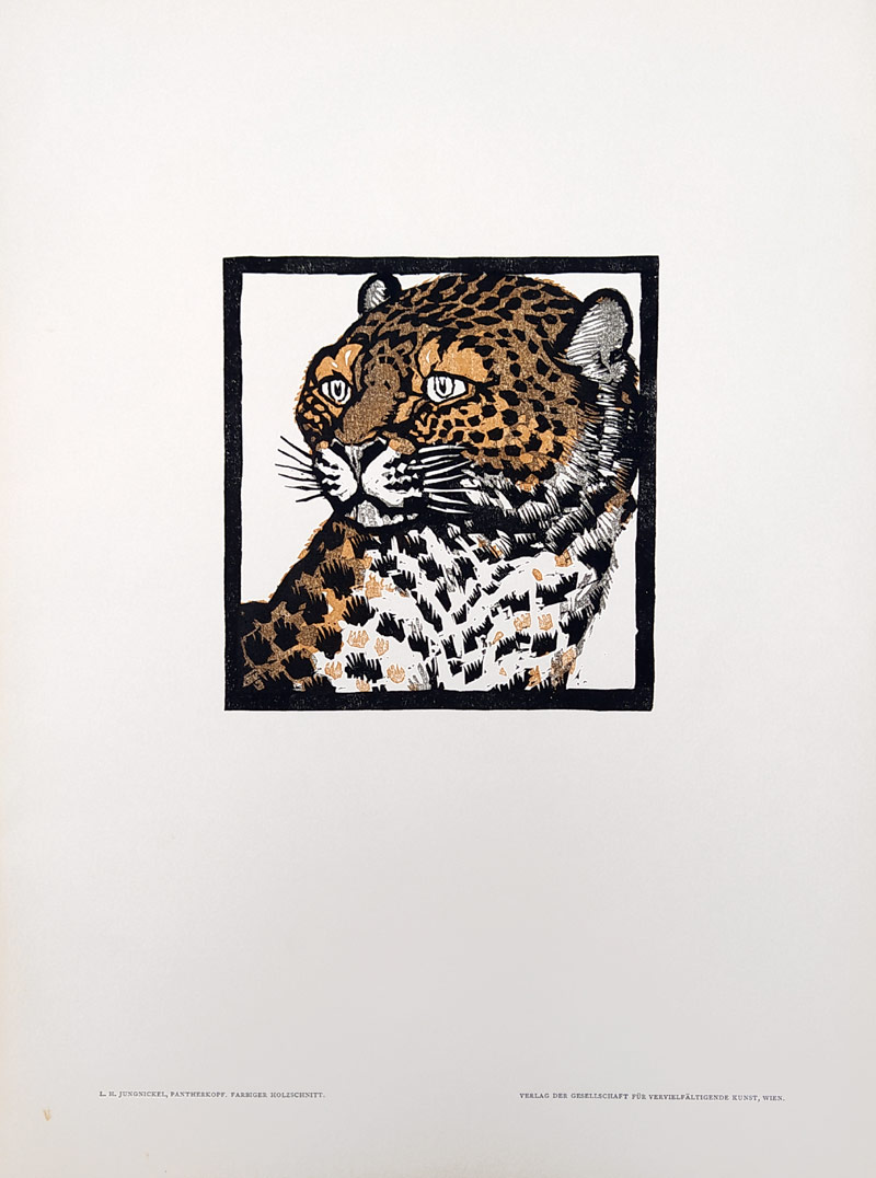 Jungnickel Ludwig Heinrich – Pantherkopf, Gepard, barevný dřevoryt, ca 1915