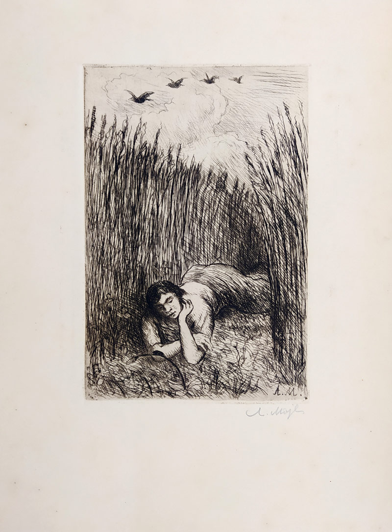 Majer Antonín – V poli, původní lept, ca 1950