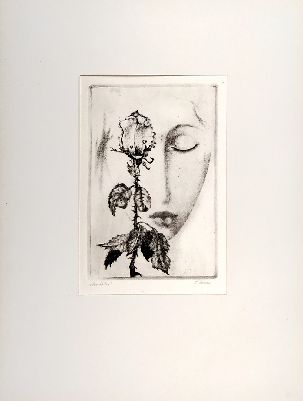 Jiřincová Ludmila – Dívka s růží, zrnkový lept, ca 1950