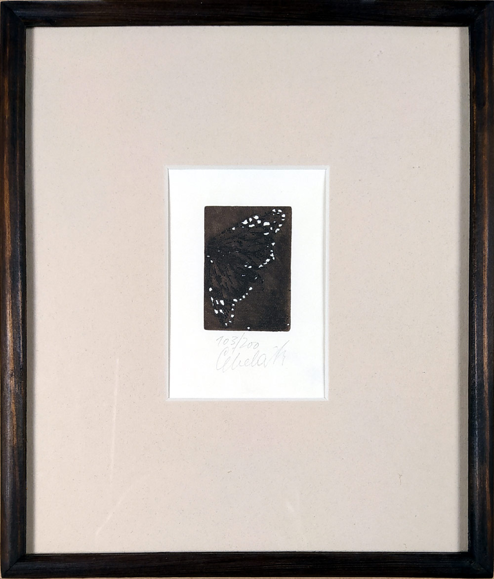 Čepelák Ladislav – Motýl, akvatinta, nedatováno