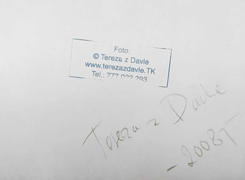 Tereza z Davle – Akt, autorská fotografie, 2008