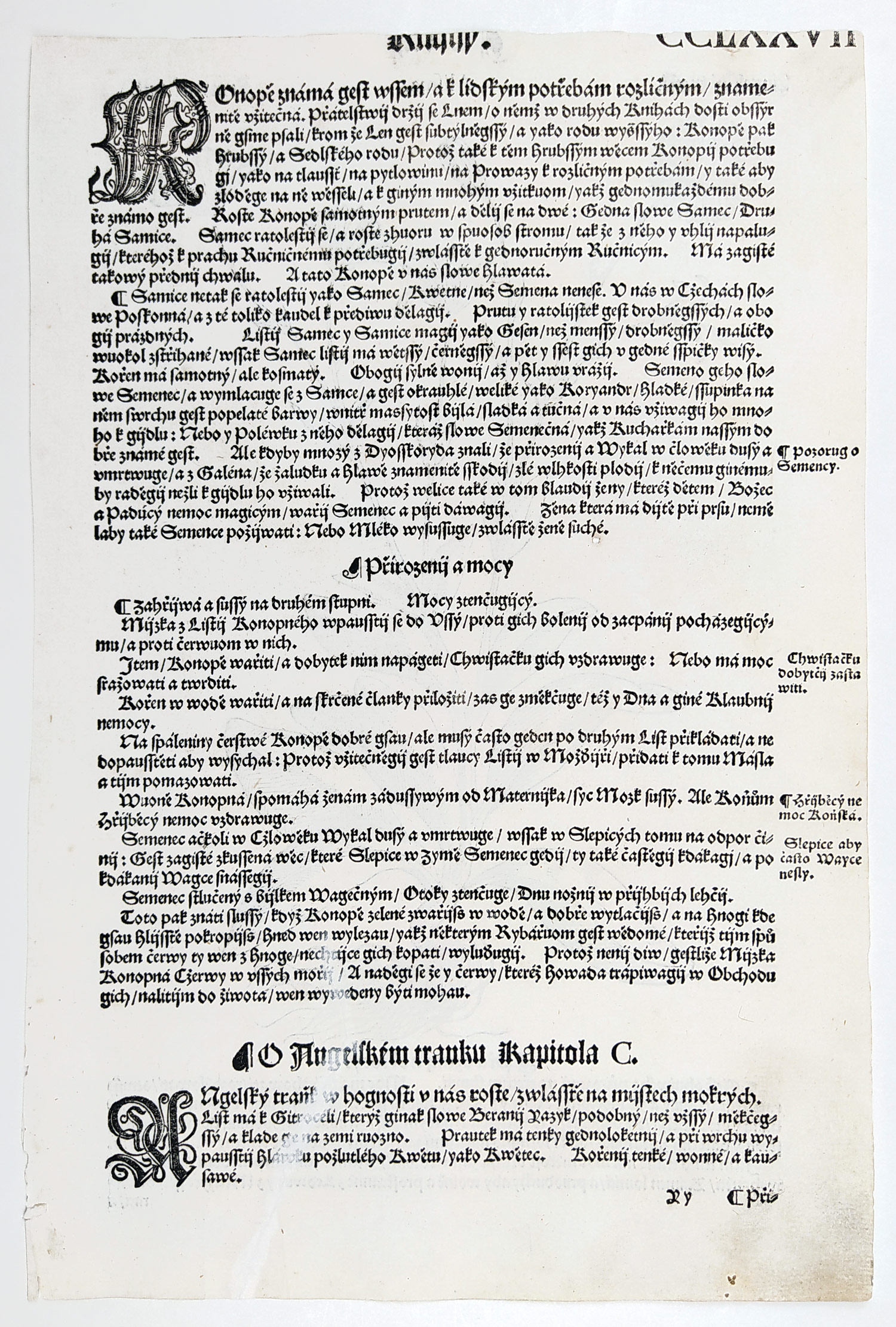 Mattioli Pietro Andrea – Žabník, původní dřevořez, 1562