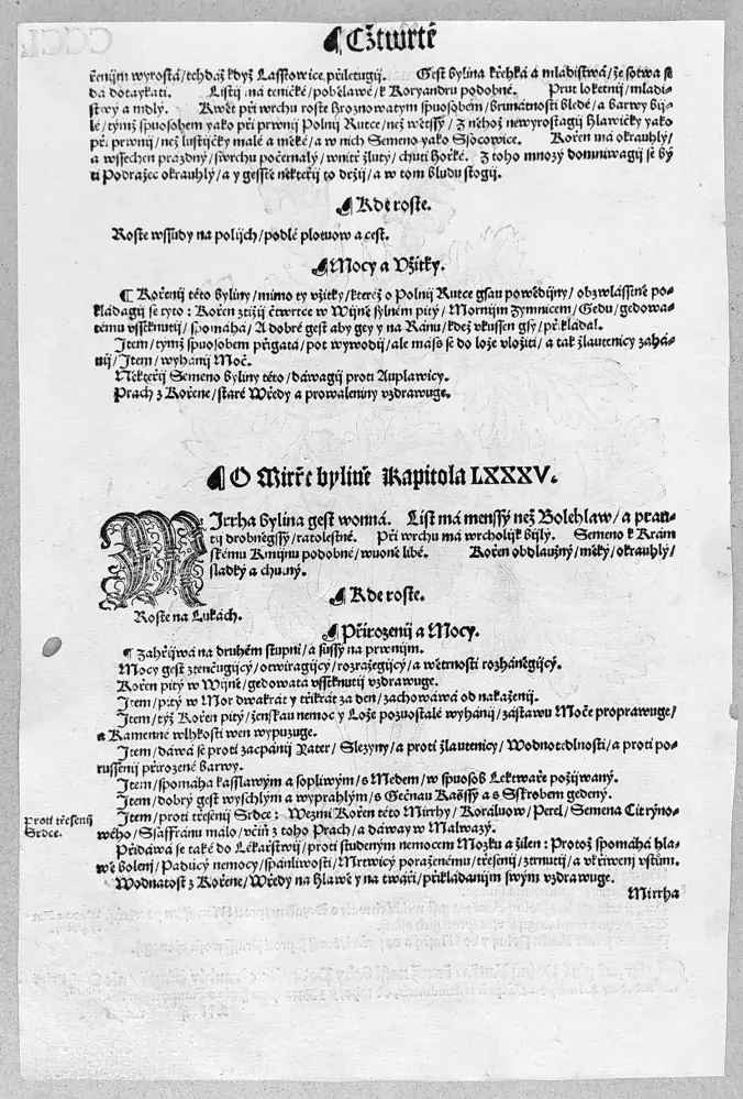 Mattioli Pietro Andrea – Dymnivka dutá, původní dřevořez, 1562