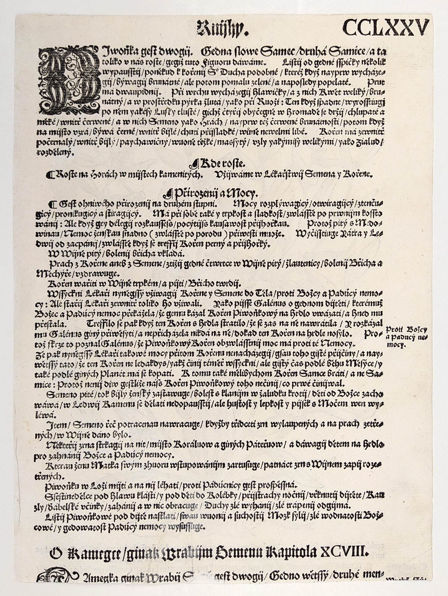 Mattioli Pietro Andrea – Kamejka lékařská, původní dřevořez, 1562