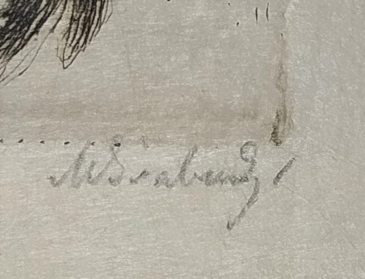 Švabinský Max – Krocan, původní lept na císařském japanu, 1913