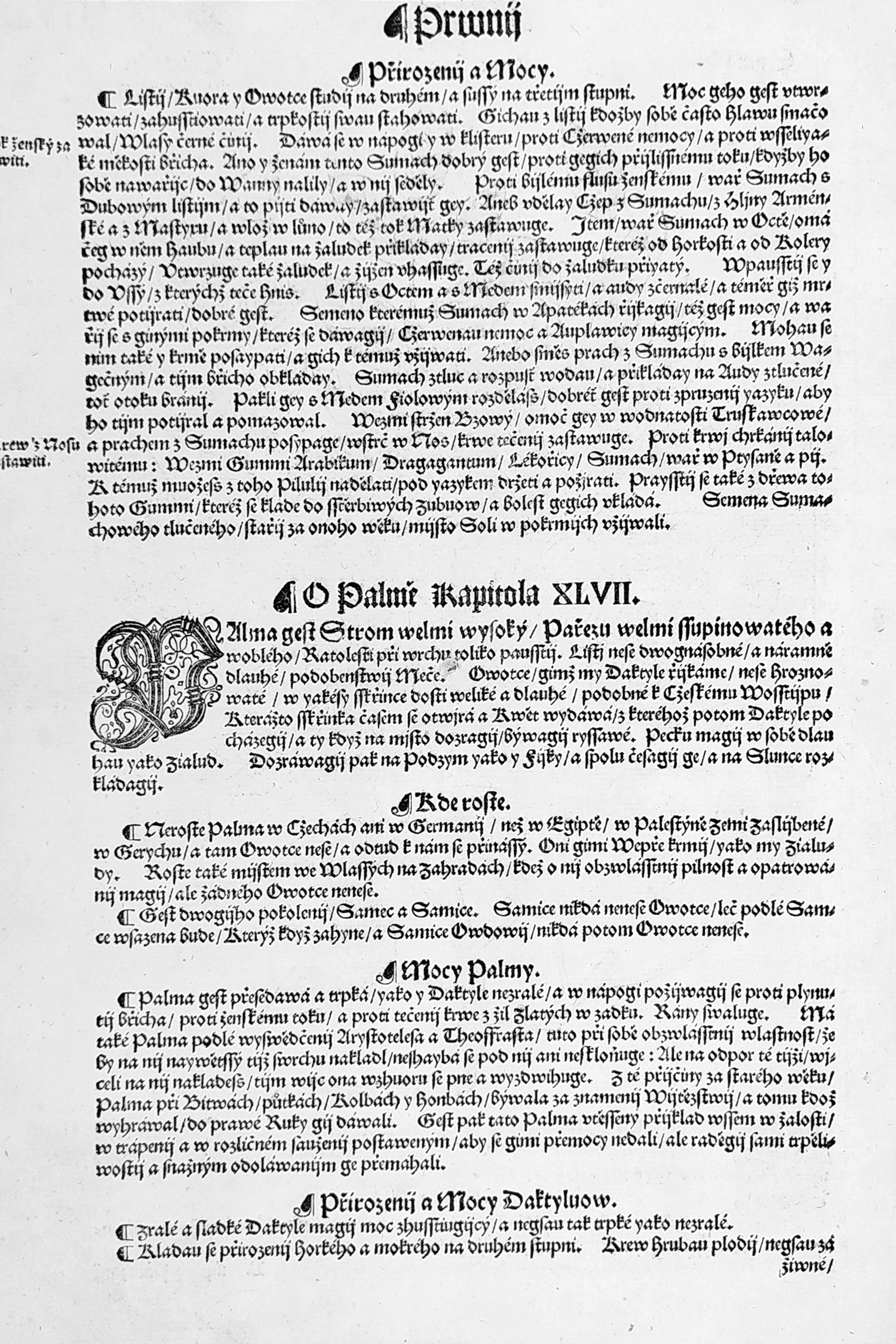 Mattioli Pietro Andrea – Škumpa, původní dřevořez, 1562