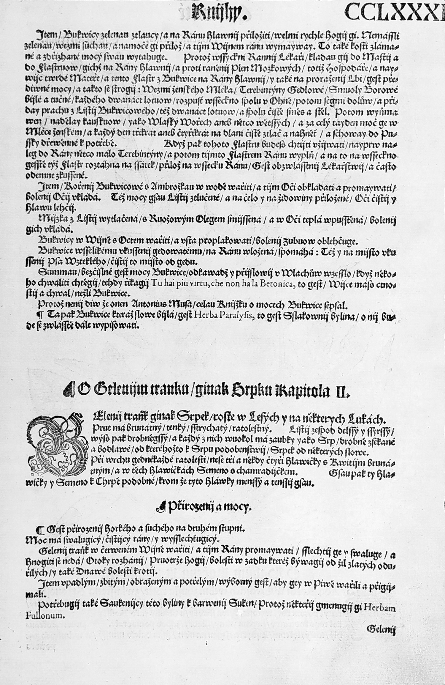 Mattioli Pietro Andrea – Srpek barvířský, původní dřevořez, 1562