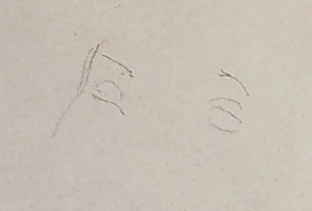 Šimůnek Karel – Čtenářka, akvarelová malba, nedatováno