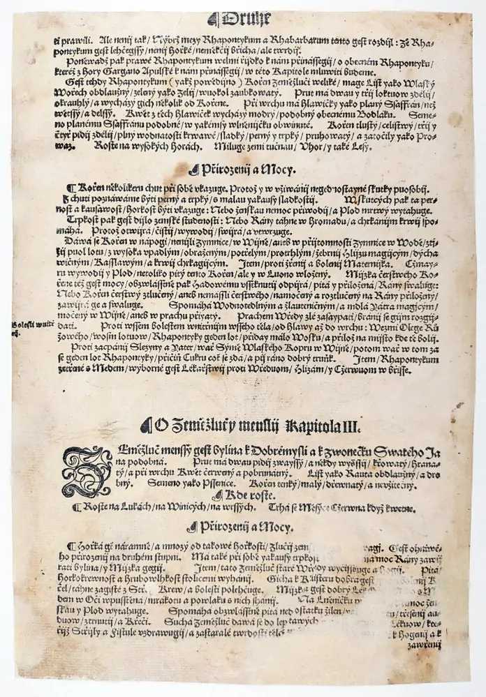 Mattioli Pietro Andrea – Zeměžluč, původní dřevořez, 1562