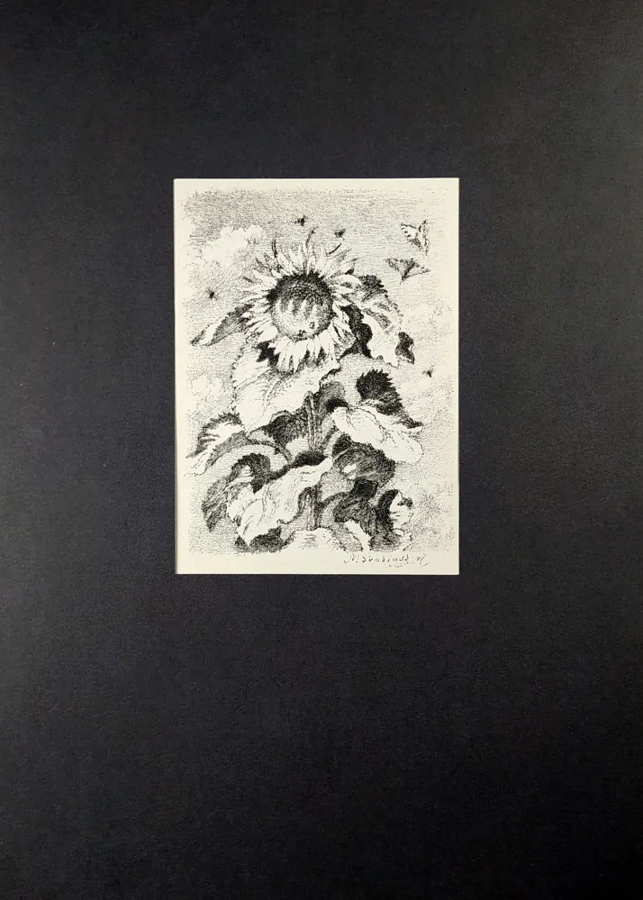 Švabinský Max – Slunečnice III, původní litografie, 1947