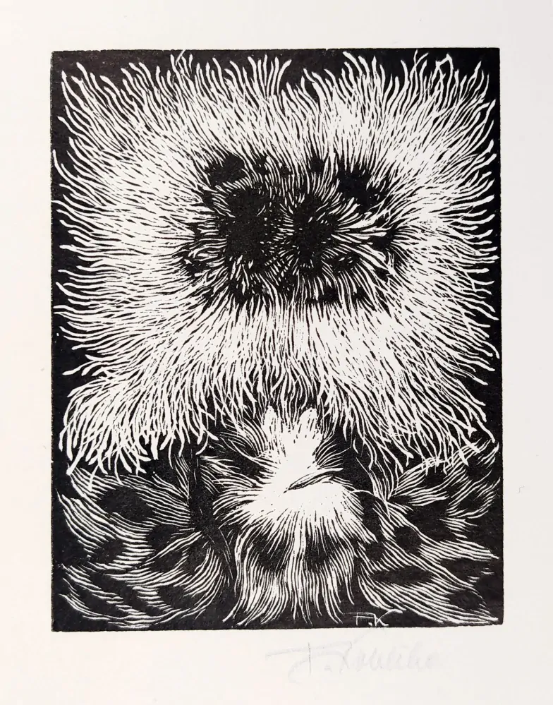 Kobliha František – Bez názvu, původní dřevoryt na ručním papíru, nedatováno