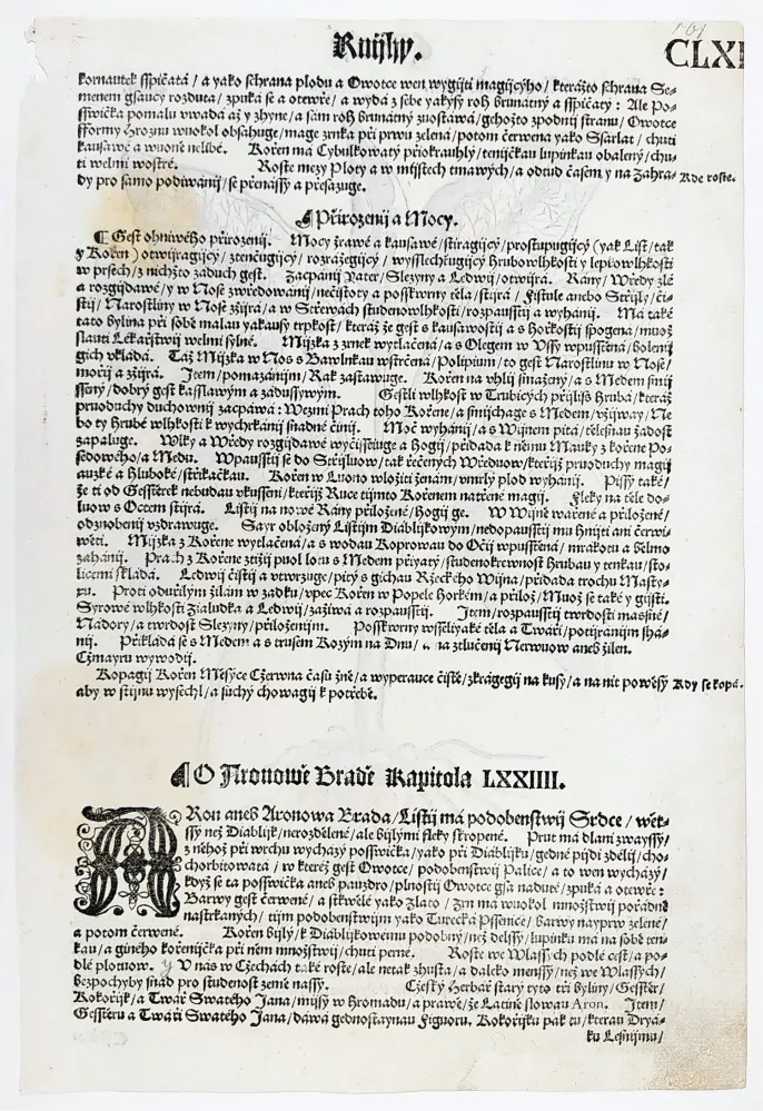 Mattioli Pietro Andrea – Árón, původní dřevořez, 1562
