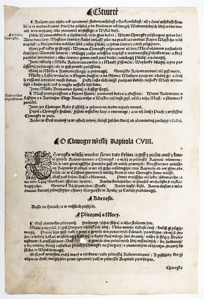 Mattioli Pietro Andrea – Pryšec chvojka, původní dřevořez, 1562
