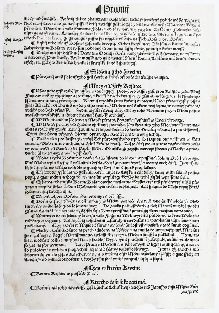 Mattioli Pietro Andrea – Kosatec, původní dřevořez, 1562
