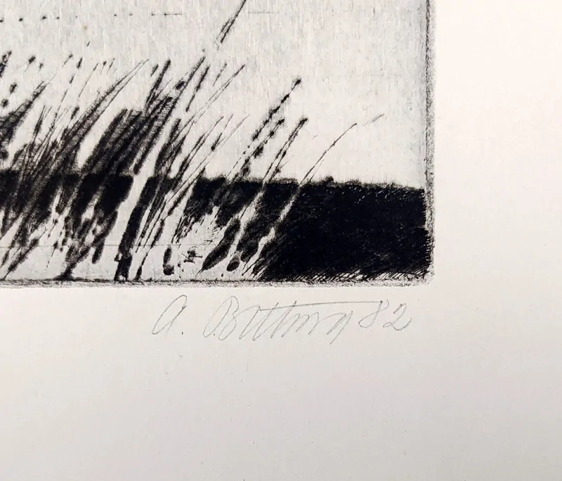 Bílková Alena – Tráva, rozměrná grafika, lept a suchá jehla, 1982