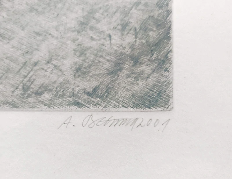 Bílková Alena – Žena krajina, rozměrná grafika, lept a suchá jehla, 2001