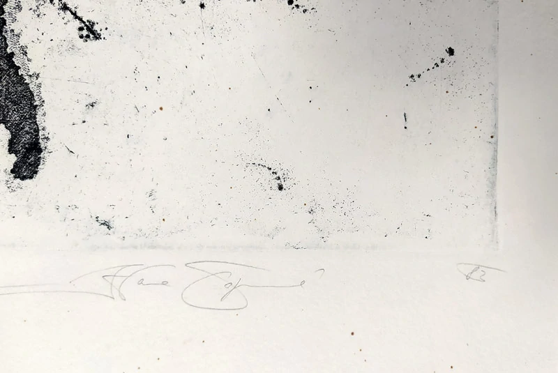 Čápová Hana – Koně v ledu, signovaný lept, č. 28/28, 1983