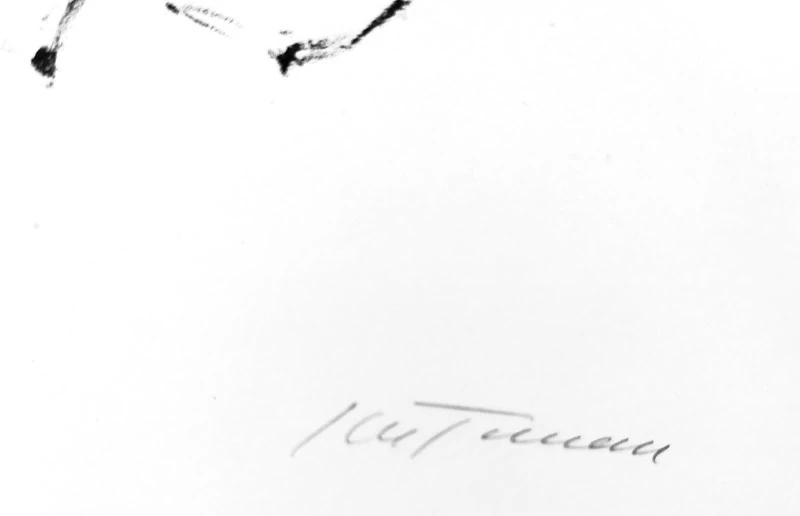 Toman Karel – Leviatan, původní litografie, nedatováno