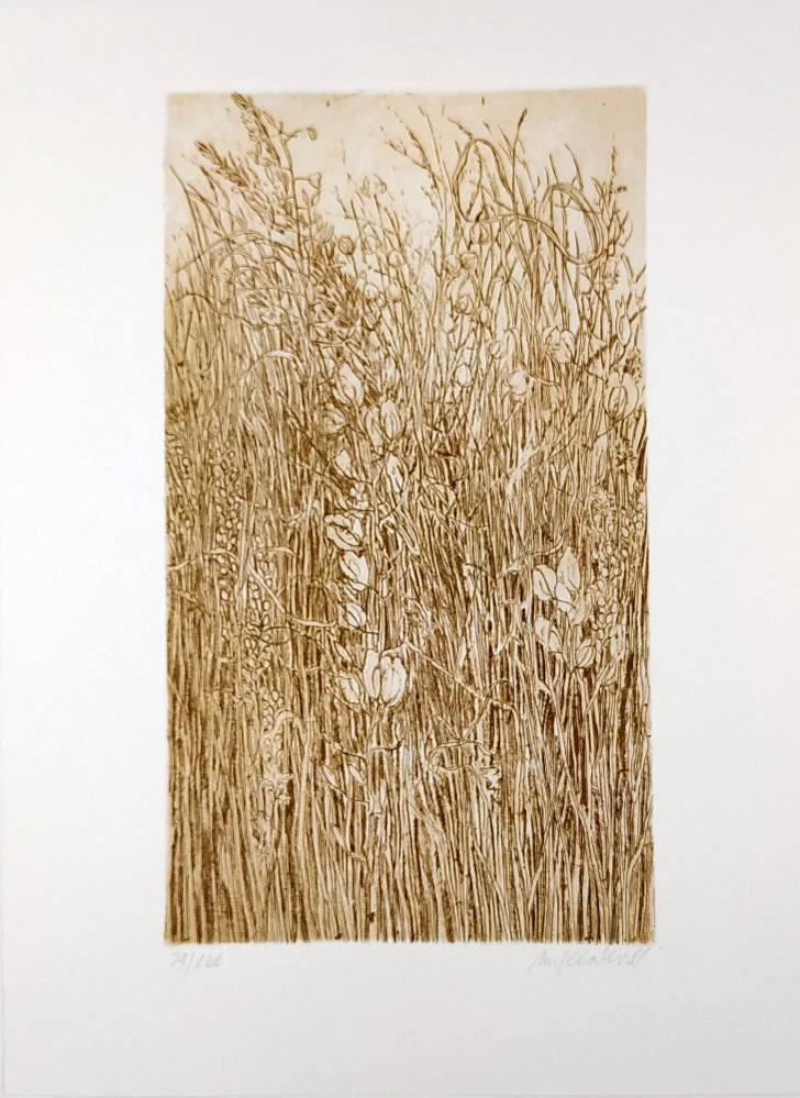 Králová Markéta – Trávy, původní lept, nedatováno