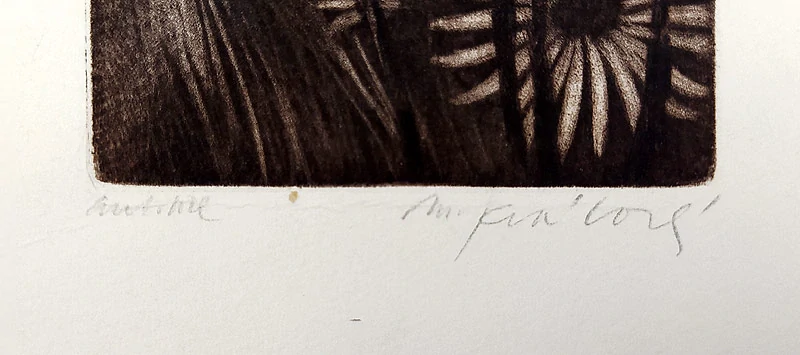 Králová Markéta – Ptáci a květiny, původní lept, autorský tisk, nedatováno