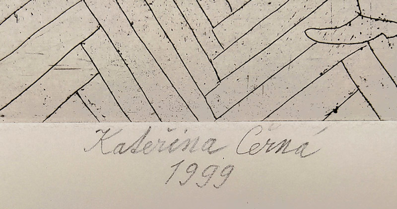 Černá Kateřina – Fialkový večer, obr. 17 pro knihu „Potkávání obrazů“, kolorovaný lept, 1999