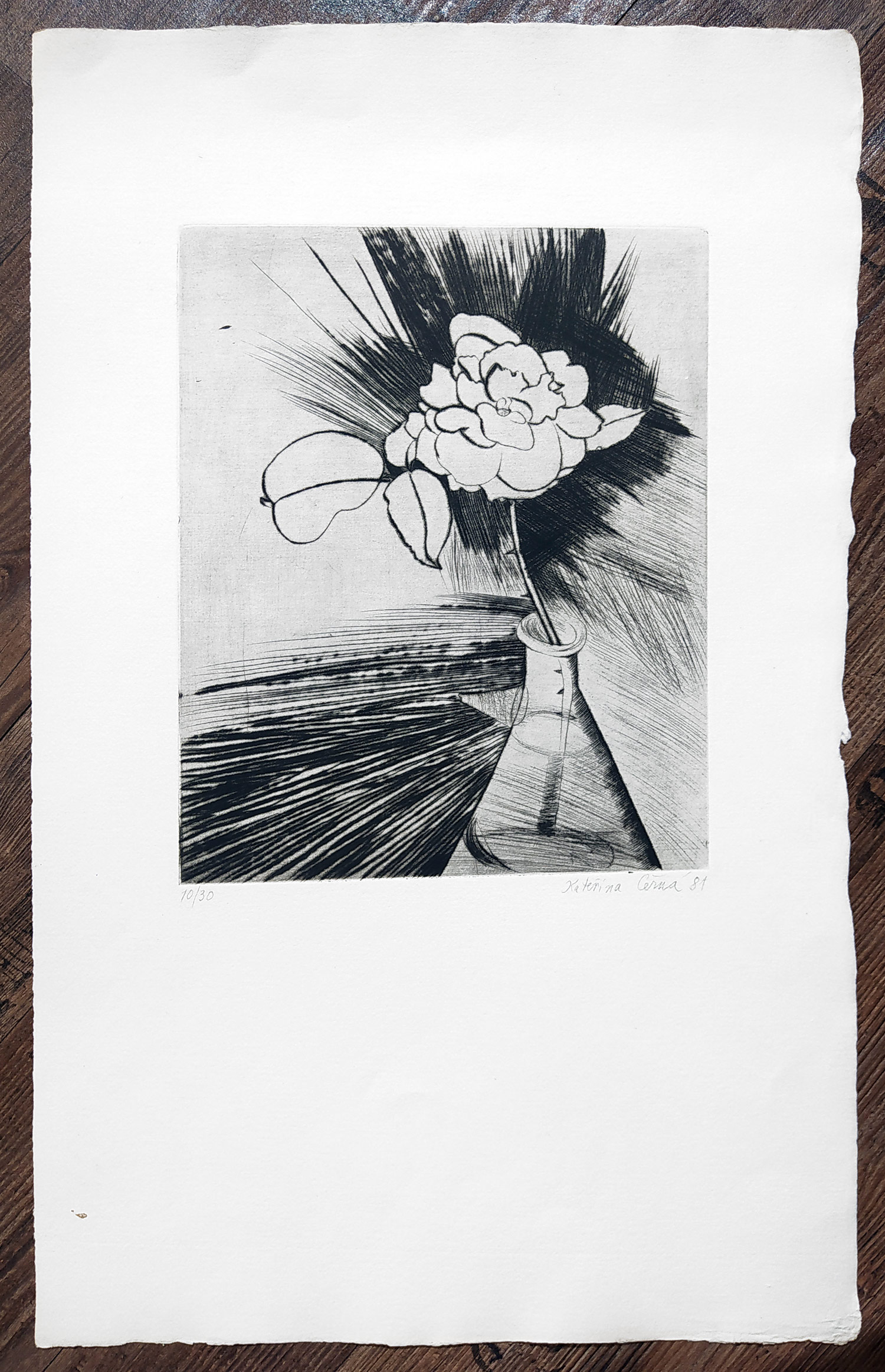 Černá Kateřina – Růže, lept, č. 10/30, 1981