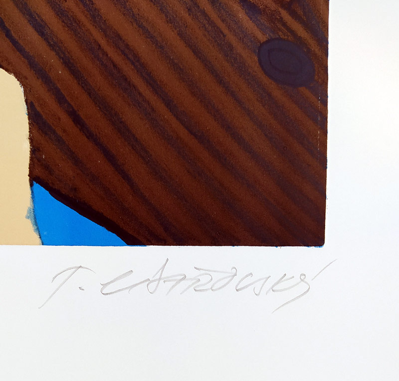 Císařovský Tomáš – Pár, signovaná litografie, č. 168/200, (1994)