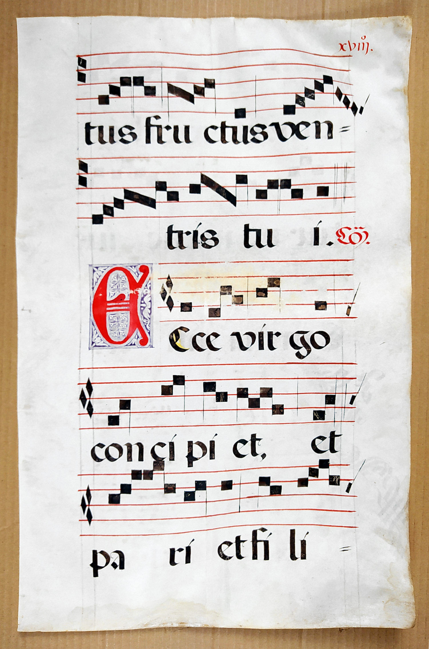 Antifonář – Notový záznam z liturgické knihy, oboustranná malba na pergamenu, kolem 1500