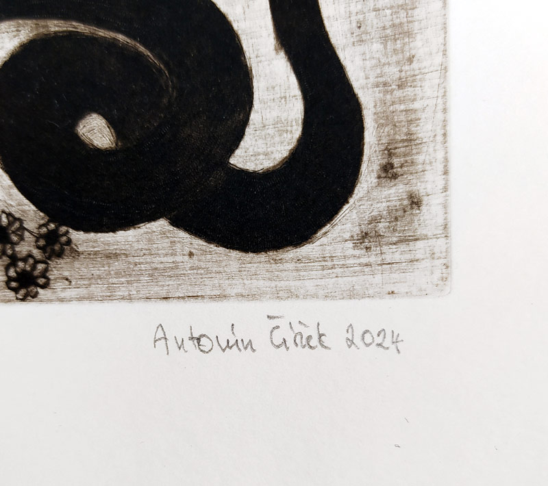 Čížek Antonín – Zelený muž, mezzotinta a suchá jehla, č. 6/40, 2024