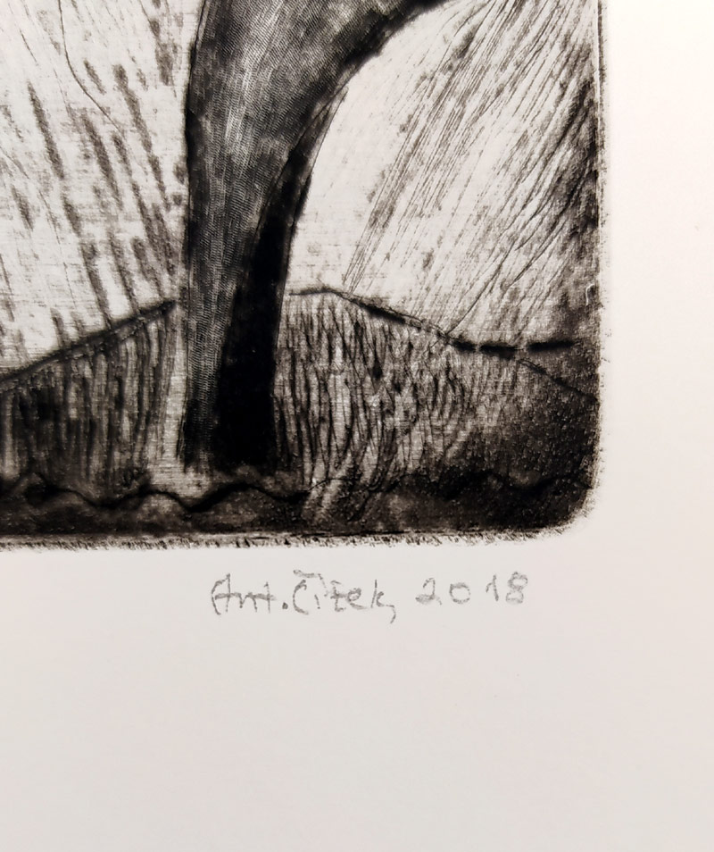 Čížek Antonín – Stará božstva, mezzotinta a suchá jehla, č. 2/30, 2018