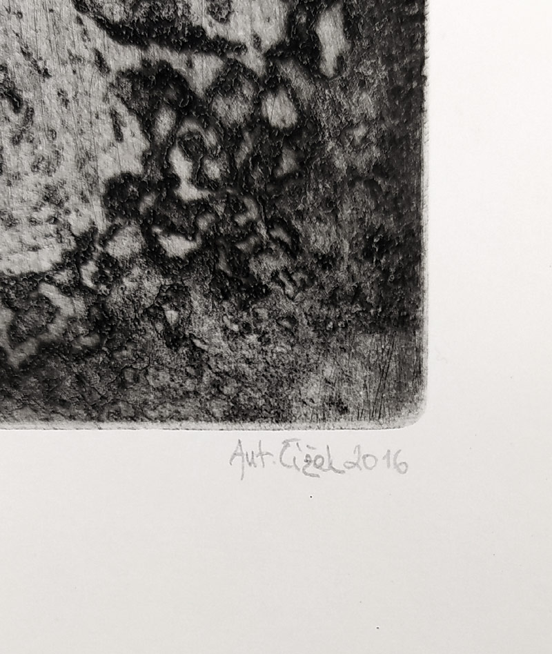 Čížek Antonín – Zeus Meilichius, lept a suchá jehla, č. 2/35, 2016