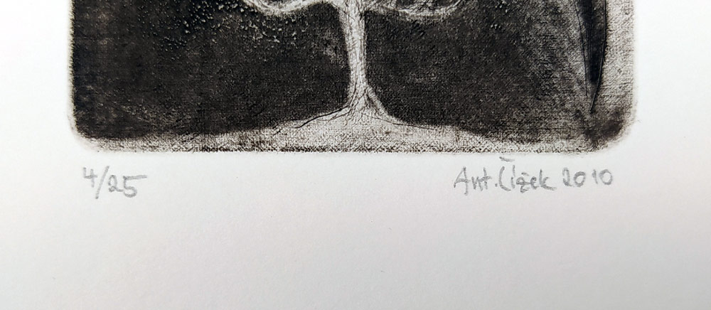 Čížek Antonín – Učenec, mezzotinta a suchá jehla, č. 4/25, 2010