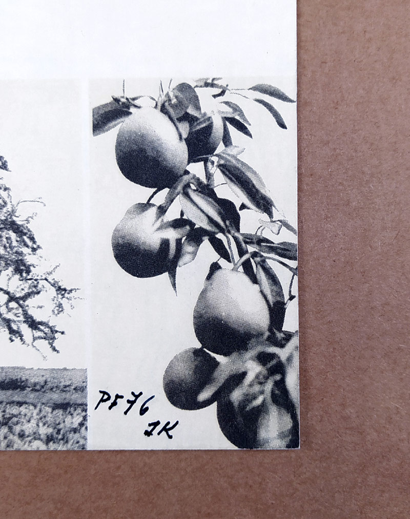 Kolář Jiří – PF 1976, adresovaná příteli I. W., 1975