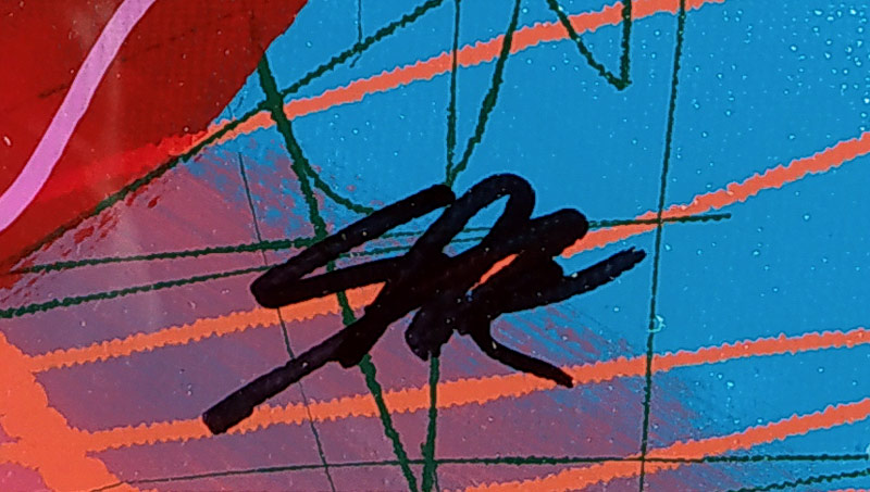 Kaufman Steve – Srdce, malba olejem a akrylem na plátně, nedatováno