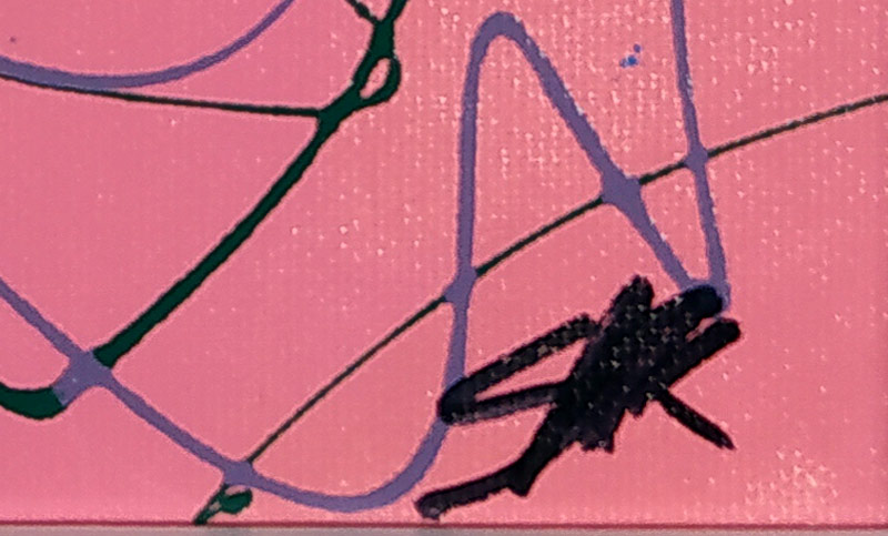 Kaufman Steve – Srdce, malba olejem a akrylem na plátně, nedatováno