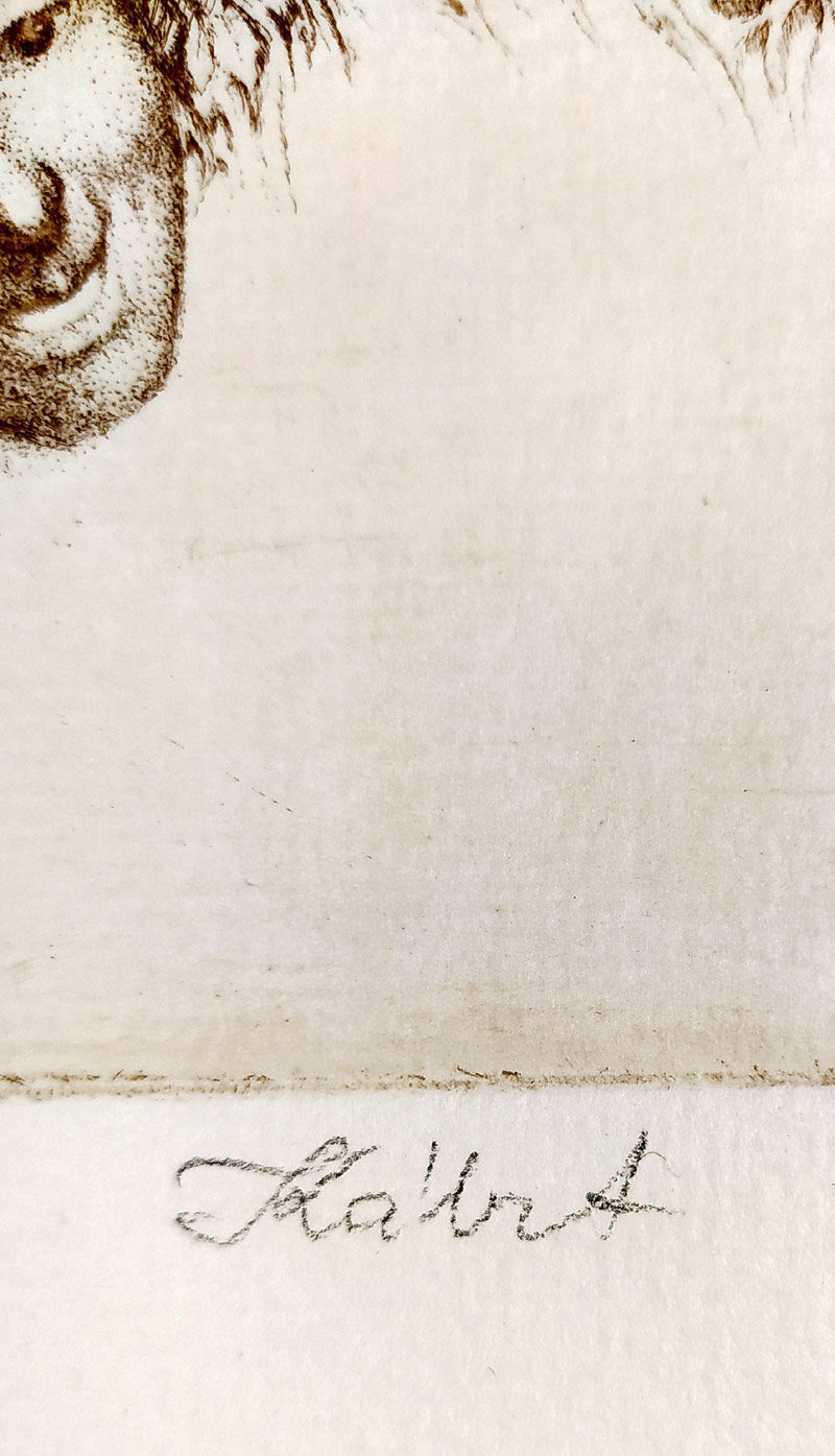 Kábrt Josef – Dívka v květu, zrnkový lept s barevným podtiskem, autorský tisk, nedatováno