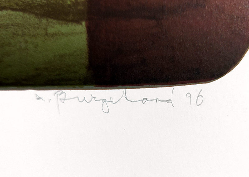 Burgetová Zdeňka – Kvetoucí sny, signovaná barevná litografie, číslováno 58/100, 1995
