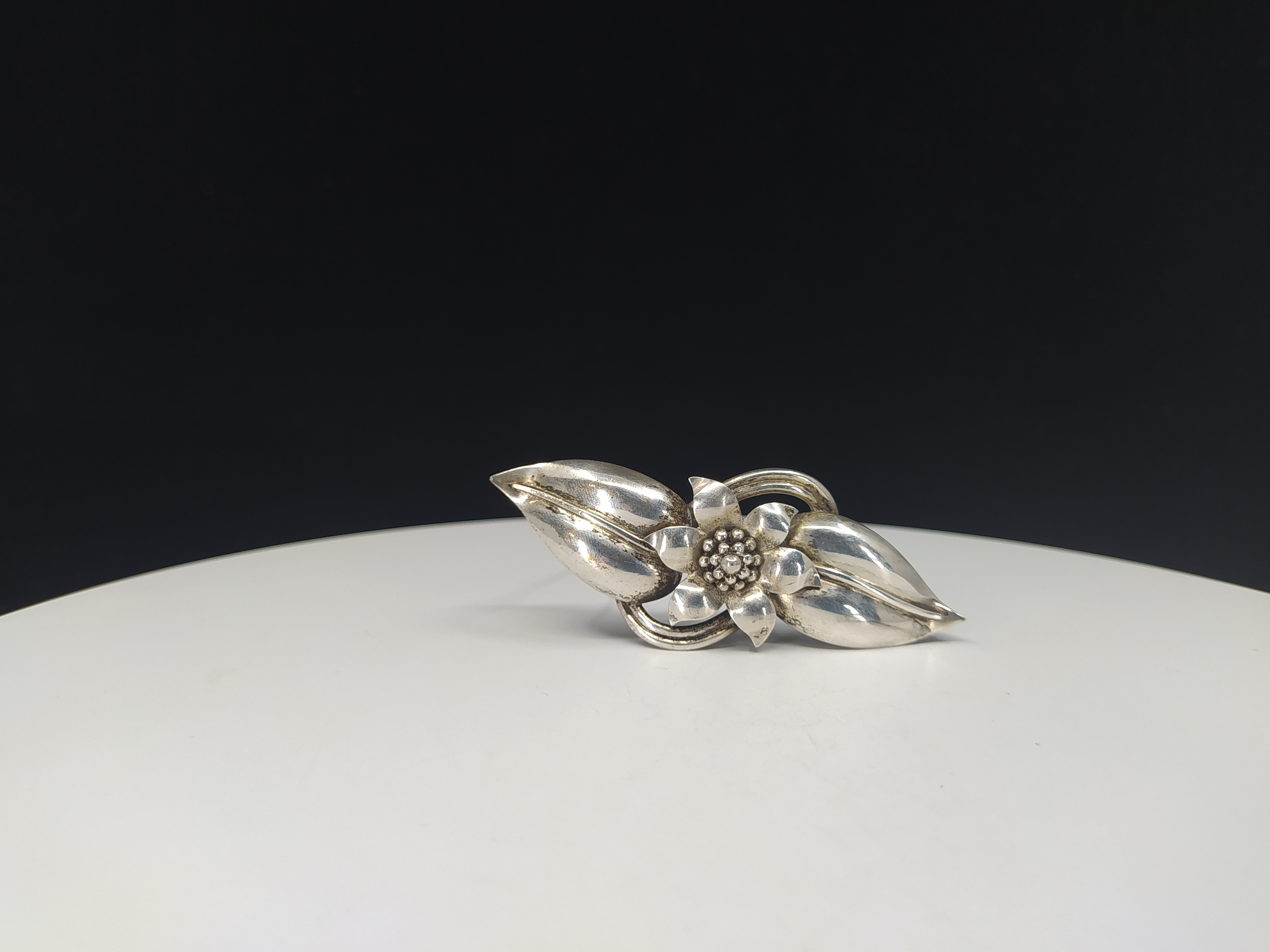 Stříbrná brož s florálním motivem, květ s listy, Evropa