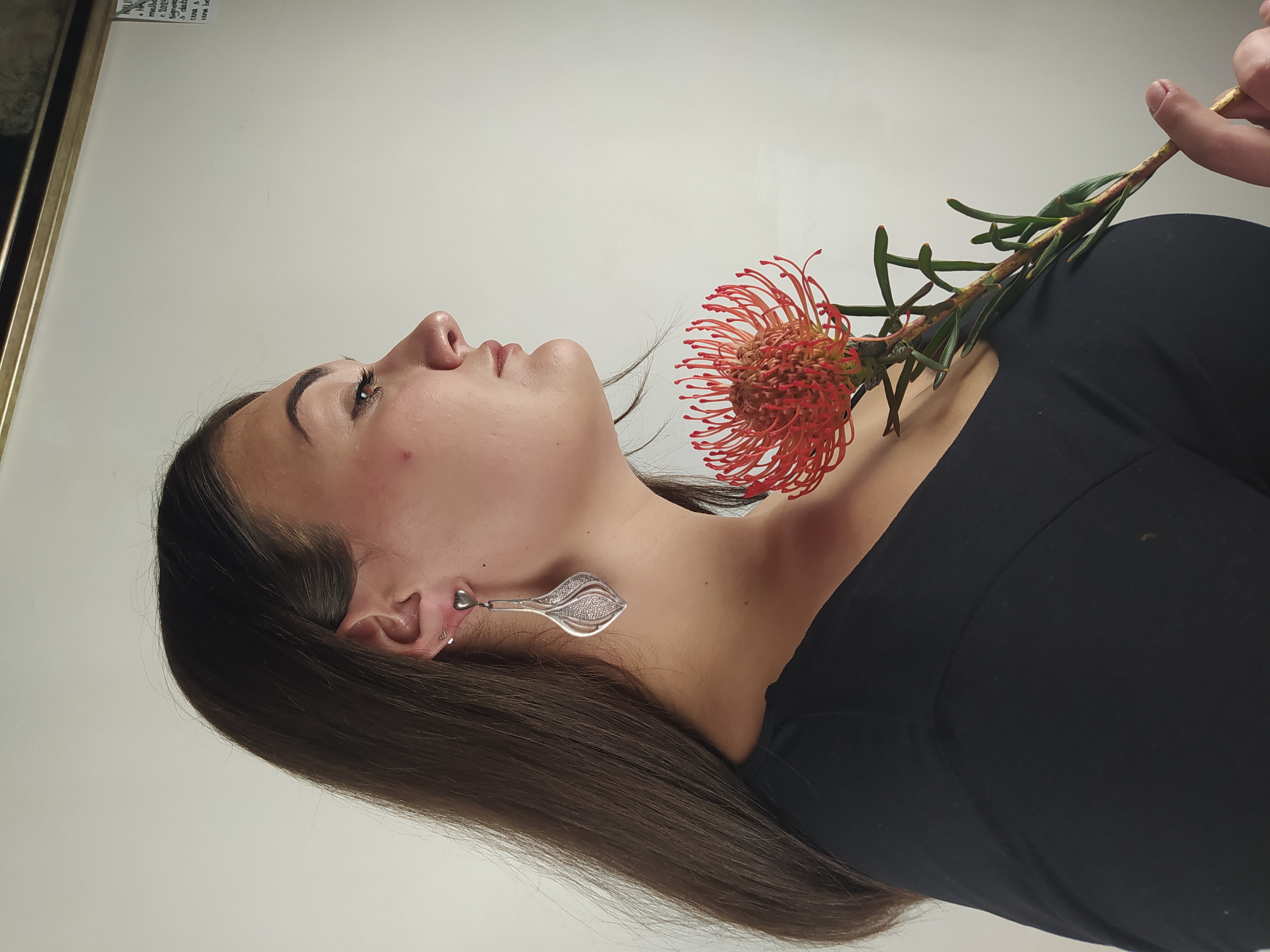 Stříbrné visací náušnice se srdíčkem a motivem granátového jablka, Evropa