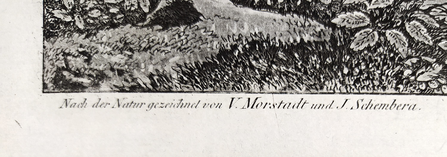 Praha – Hradčany od jihozápadu, Vincenc Morstadt, C. A. Richter, lept (1830), pozdější otisk z původní desky