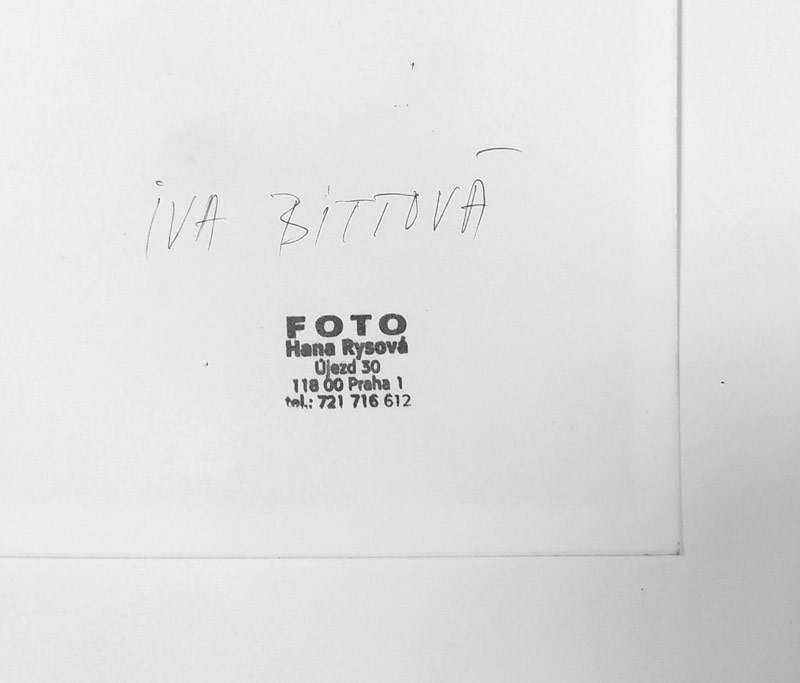 Rysová Hana – Iva Bittová, autorská fotografie, nedatováno